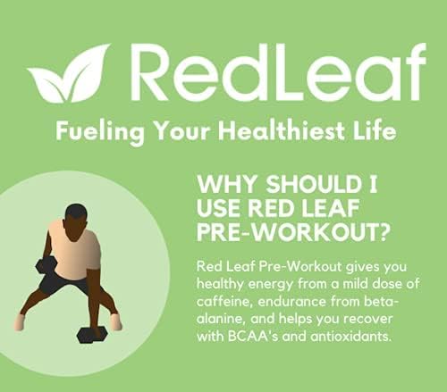Red Leaf Pre Workout Energizer Powder, BCAA's, Beta-Alanine, Amino Acids and Green Tea for Immune Support and Preworkout Energy, Natural Cranberry Lime Flavor - 30 Servings