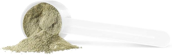 PROGRESSIVE VegeGreens Multi (Blueberry - 500 Gr)