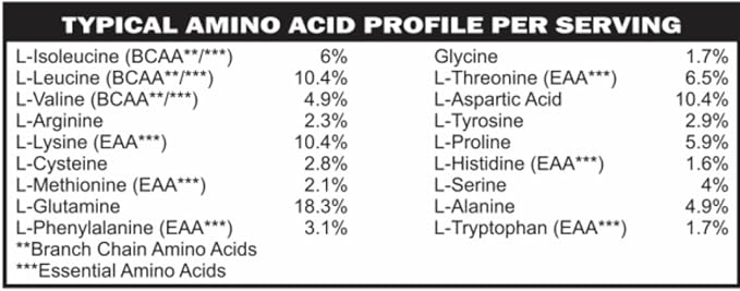 Low FODMAP Elemental Diet Protein Powder for IBS & SIBO Keto Paleo| ProHydrolase Digestive Enzymes| Gluten Soy Sugar & Grain Free Low Carb Whey Protein Isolate (WPI) Gut Friendly All Natural Chocolate