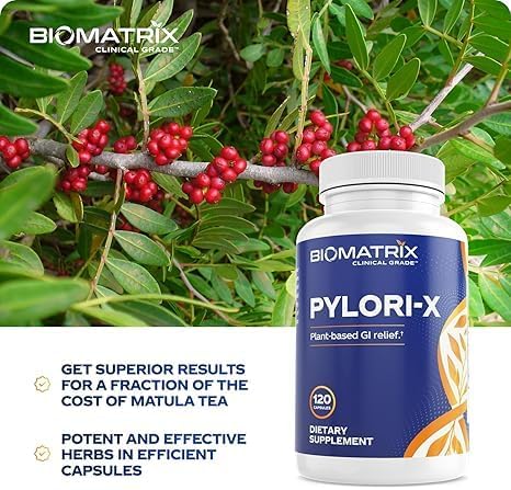 Pylori-X for H. Pylori Defense | Matula Tea Alternative w/Mastic Gum, Berberine, Zinc Carnosine, Bismuth Salts | Microbiome Balance, Digestive Relief (120 Capsules)
