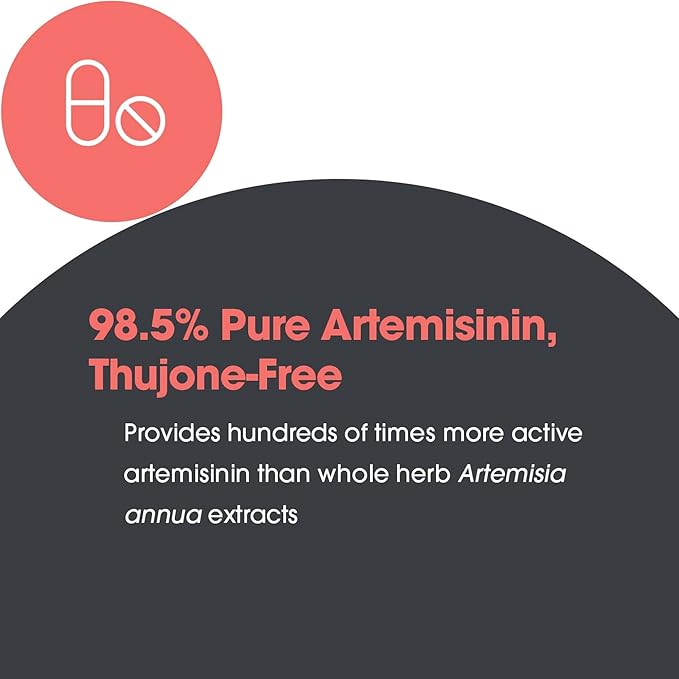 Allergy Research Group Artemisinin Supplement - GI Tract Support, Pure Qinghaosu from Artemisia annua, Thujone-Free, Hypoallergenic, Vegetarian Capsules - 300 Count