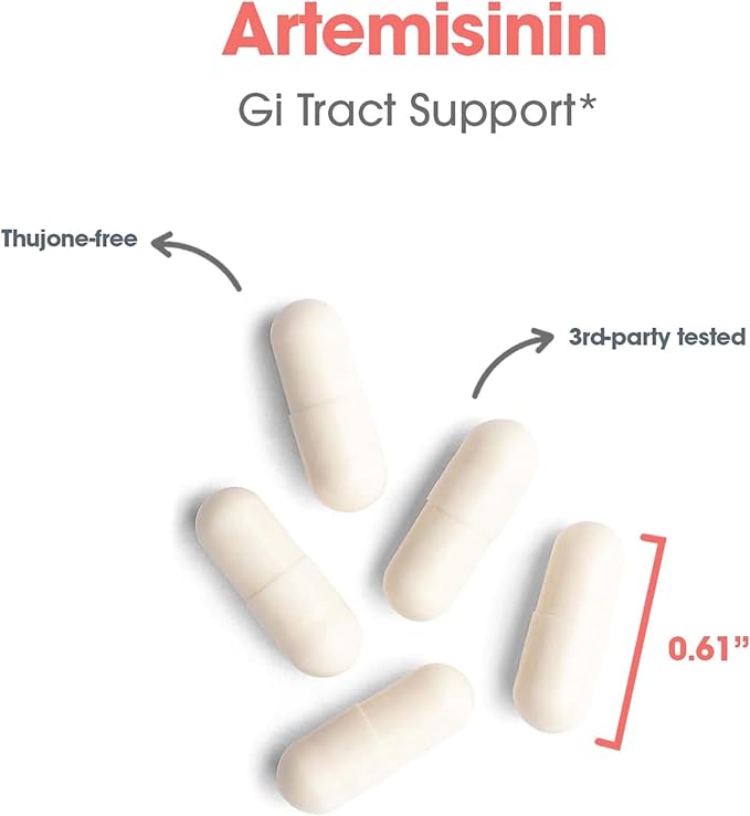 Allergy Research Group Artemisinin Supplement - GI Tract Support, Pure Qinghaosu from Artemisia annua, Thujone-Free, Hypoallergenic, Vegetarian Capsules - 300 Count