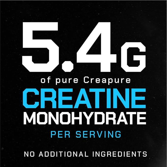Muscle Feast Creapure Creatine Monohydrate Powder, Vegan Keto Friendly Gluten-Free Easy to Mix, Mass Gainer, Muscle Recovery Supplement and Best Creatine for Muscle Growth, Fruit Punch, 300g