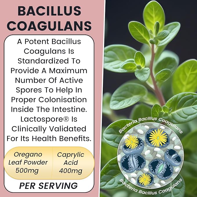 Candida Yeast Cleanse Supplement for Women & Men. Gut Flora & pH Level, Intestinal Health W/Probiotics. Anti Yeast Overgrowth W/Oregano, Caprylic Acid 60 CT