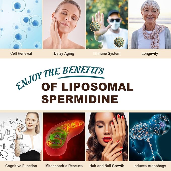Spermidine Supplement 15 MG - 99% Purity, High Absorption, 1500 mg Fermented Wheat Germ Extract with Zinc & Thiamin, Spermidine for Men & Women - Cellular Renewal, Aging Defense, Energy, 360 Softgels