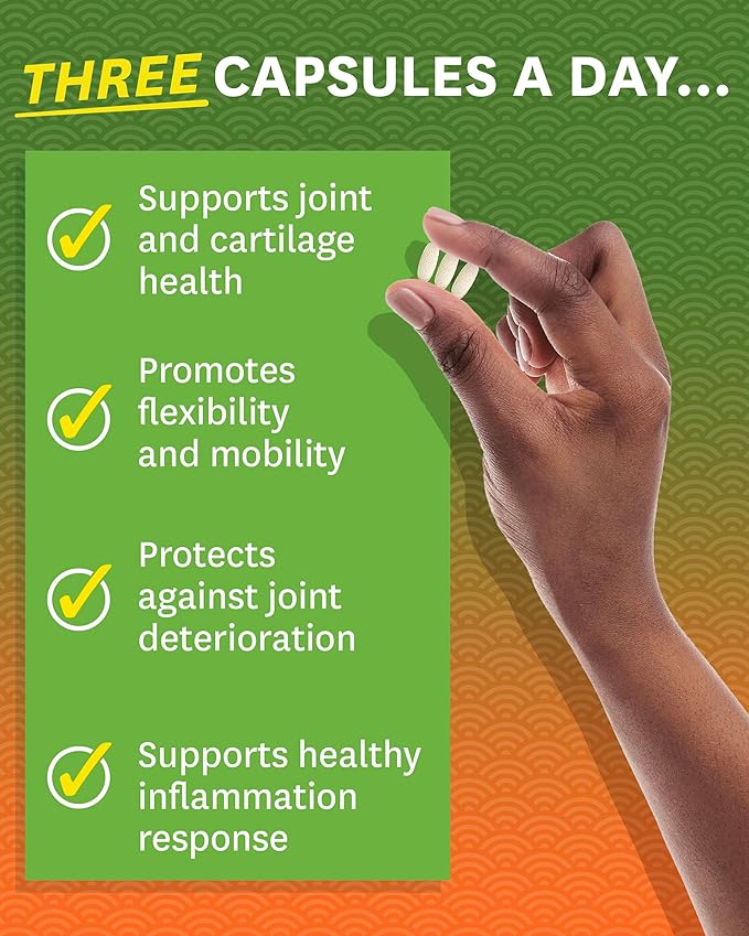 Zenwise Health Glucosamine Chondroitin MSM - Joint Support Turmeric Supplement for Hands, Back, Knee, and Joint Health, Advanced Relief for Bone and Joint Flexibility and Mobility - 90 CT