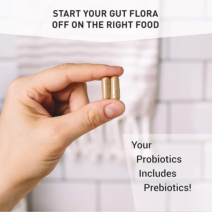 Terraflora Daily Care synbiotic of probiotics and prebiotics for Women and Men 60 ct, Soil Based, Shelf Stable, allergen Friendly Spore Based Supplement Capsules Promote Gut Health by Enviromedica