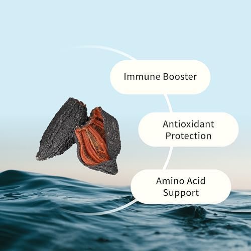 Wild Sea Cucumber Supplement Capsules Antioxidant Healthy Energy Supplement with Fucosylated Chondroitin Sulfate Collagen Glycosides Vitamins Minerals(Pack of 3)