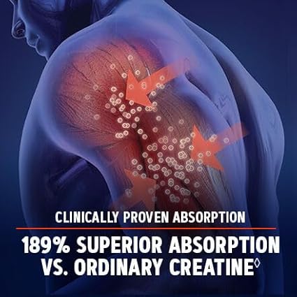 GNC AMP Creatine HCl Pills | Muscle Builder, Energy Production, Performance Recovery Supplement | Fast Absorbing, Gluten Free Formula| 240 Count