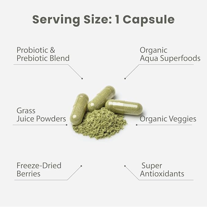 Paradise Herbs Earth's Blend Once Daily Multivitamin for Men, No Iron, 48 Organic Superfoods, Probiotics, Antioxidants, Vitamins A, B12, C, D, K2,120 Count