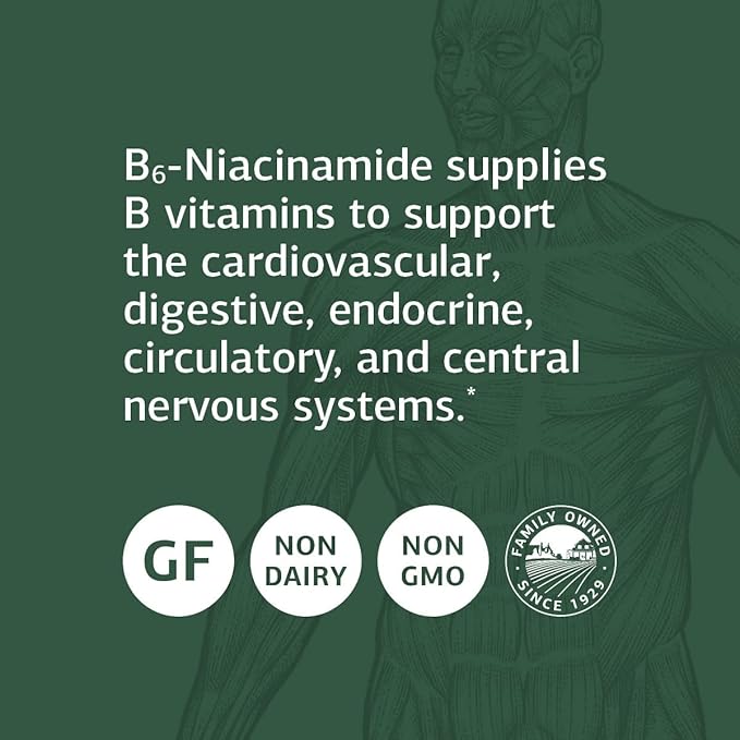 Standard Process B6-Niacinamide - Energy Metabolism, Heart Health, and Digestion Supplement with Vitamin B6, Niacin, Ascorbic Acid, Reishi Mushroom, Shiitake Mushroom, and More - 90 Tablets