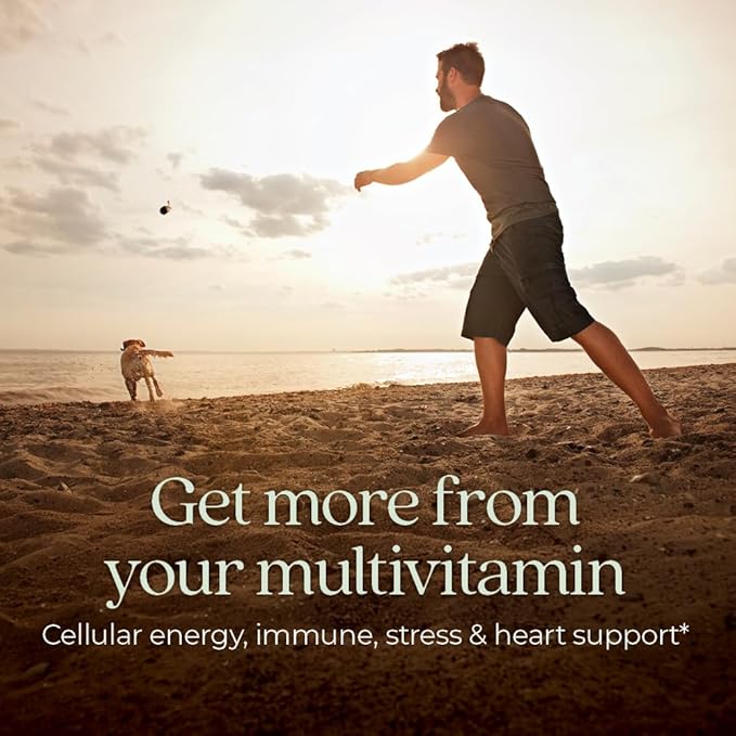 New Chapter Men's Multivitamin for Immune, Stress, Heart + Energy Support with Fermented Nutrients - Every Man's One Daily, Made with Organic Vegetables & Herbs, Non-GMO, Gluten Free - 48 ct