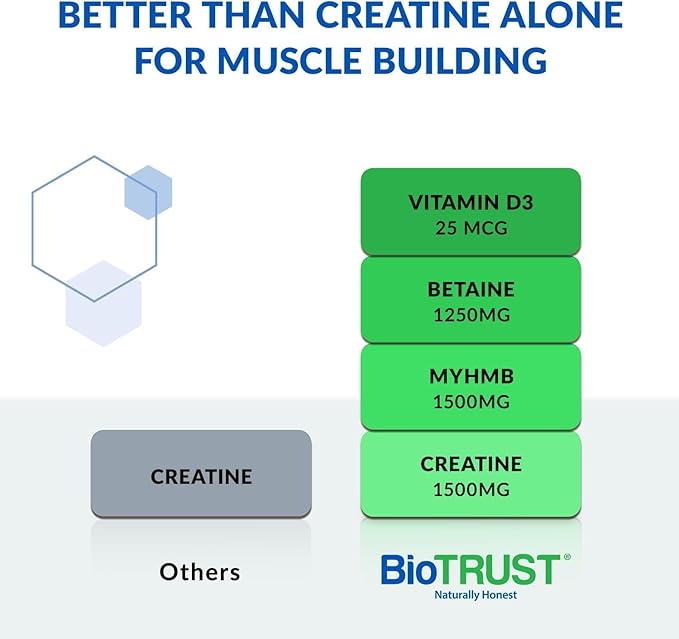 BioTrust Ageless Muscle Builder - Creatine HMB Powder with Vitamin D3 & Betaine - Build & Preserve Naturally Declining Muscle Mass & Strength - Fruit Punch, 60 Servings