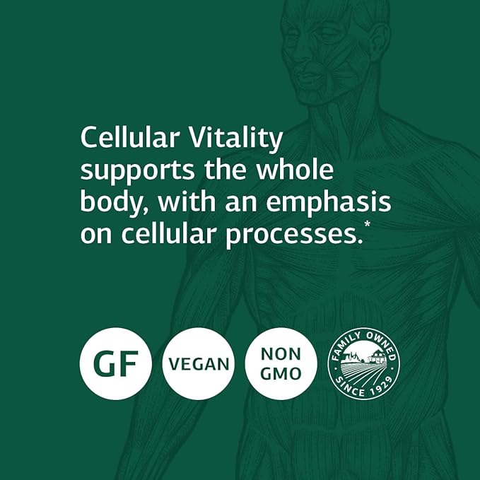 Standard Process B Vitality with CoQ10 - Supports Cellular Processes with Thiamine, Biotin, CoQ10, Vitamin B12, Riboflavin, Niacin, Vitamin B6, Folic Acid, Pantothenic Acid, Ginseng - 90 Capsules