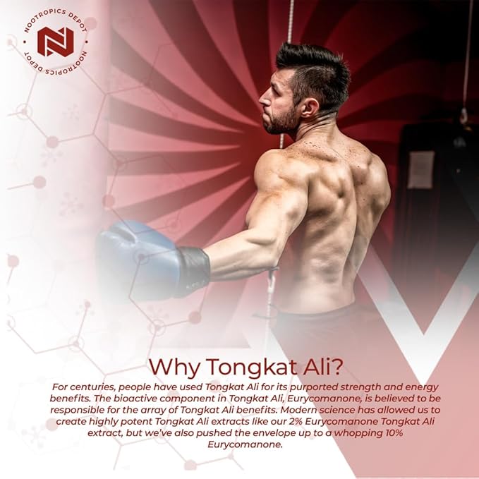 Nootropics Depot Tongkat Ali Extract Capsules | 100mg | 120 Count | 10% Eurycomanone by HPTLC | Eurycoma longifolia Root Extract