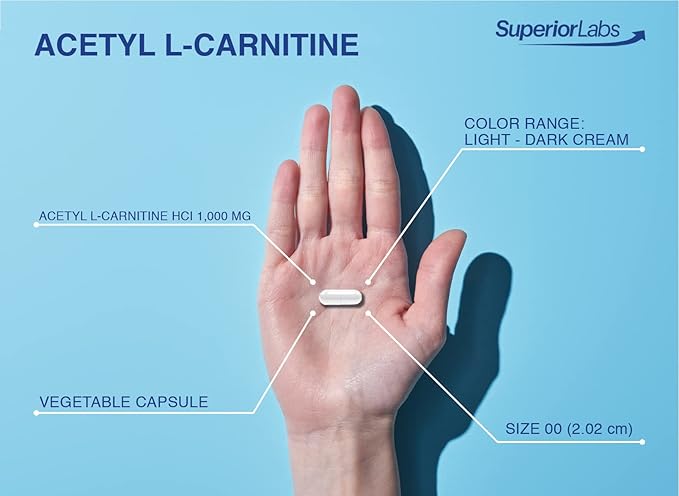 Superior Labs | Acetyl L-Carnitine 1000mg | 200 caps | Maximum Absorption | Pure Vegetable Capsules | Zero Synthetic Additives | Superior Absorption