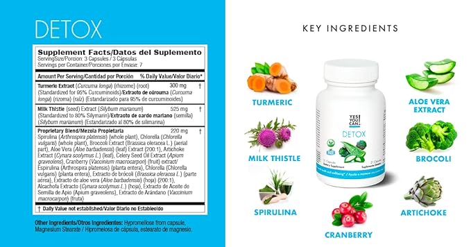Yes You Can! Detox Plus Kit (Meal Replacement Chocolate, Aloe Vera Pineapple) - Complete Meal Replacement Powder, High Energy Shake Booster, Aloe Vera Detox Supplement, Health Transformation