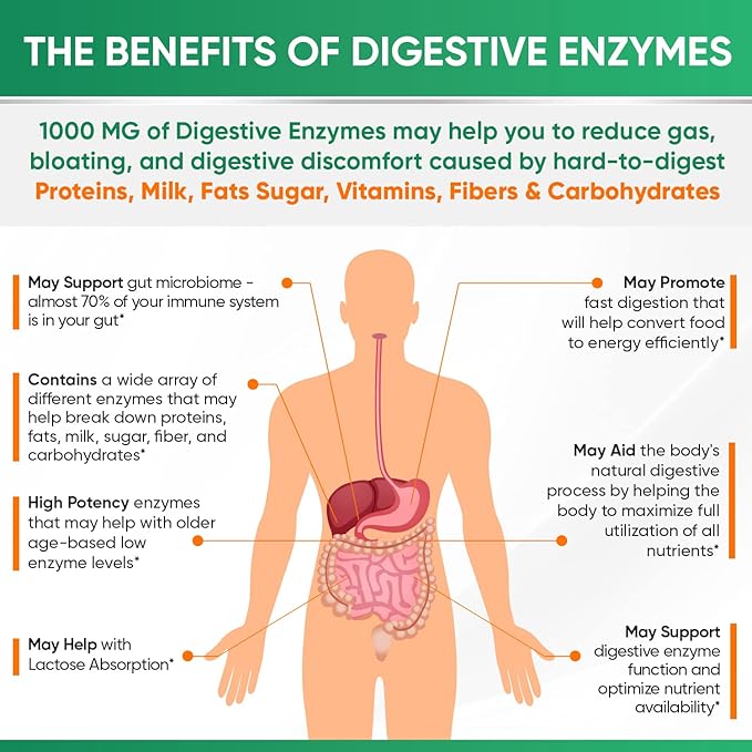 Wholesome Wellness Digestive Enzymes 1000MG Plus Prebiotics & Probiotics Supplement, 180 Capsules, Organic Plant-Based Vegan Formula for Digestion & Lactose with Amylase & Bromelain,3-6 Months Supply