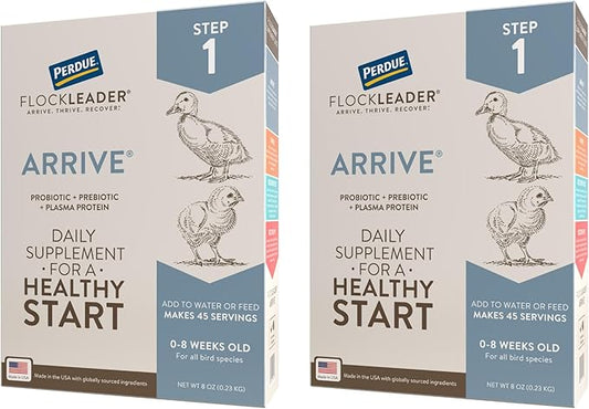 Arrive, Daily Probiotic & Prebiotic Water Supplement for Young Chickens 0-8 Weeks Old, 8 oz (Pack of 2)