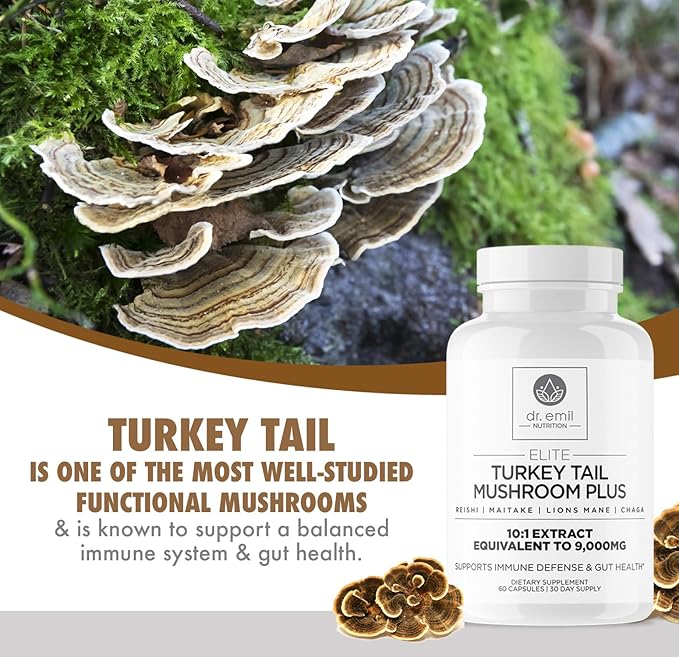 DR. EMIL NUTRITION Turkey Tail Mushroom Capsules - Turkey Tail Mushroom Supplement for Immunity & Gut Health - Elite Formula with Lion's Mane, Chaga, Reishi & Maitake
