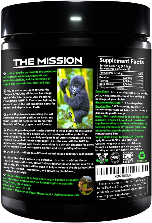 Vegan Brain & Body Boost: The Cherry On Top of A Plant-Based Lifestyle | Working Intelligence | Anti-Aging | Physical Fitness | Vegan Amino Acids - Creatine, Taurine & Beta Alanine | 40 Servings/300g
