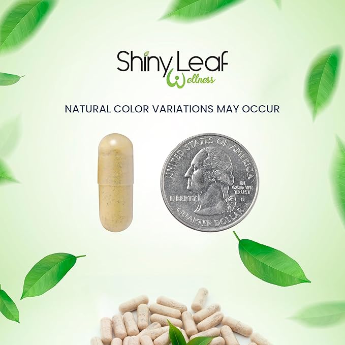 Shiny Leaf Bariatric Multivitamin Iron-Free Capsules for Post Bariatric Surgery Patients, Once Daily Bariatric Vitamins Without Iron for WLS, Sleeve, Gastric Bypass Surgery (1 Month / 30 Caps)