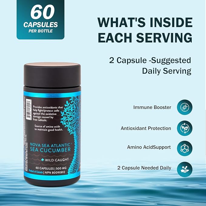 Sea Cucumber Supplement, Wild Caught Sea Cucumber Capsules with Fucosylated Chondroitin Vitamins Mineral — Natural Antioxidant Supplement for Elderly Adult Child (Pack of 12)