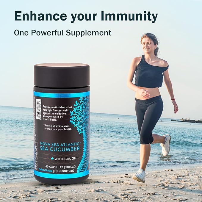 Sea Cucumber Supplement, Wild Caught Sea Cucumber Capsules with Fucosylated Chondroitin Vitamins Mineral — Natural Antioxidant Supplement for Elderly Adult Child (Pack of 12)