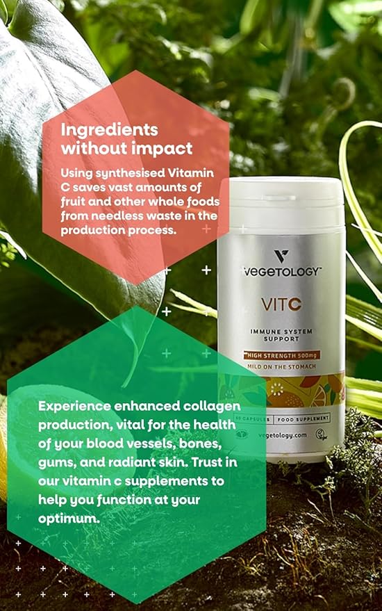 Vegan Vitamin C Supplements — VIT C + Citrus Bioflavonoids — Vitamins and Health Supplements — Daily Supplements (60 Capsules) — Vitamin C 500mg Capsules — Antioxidants Supplement