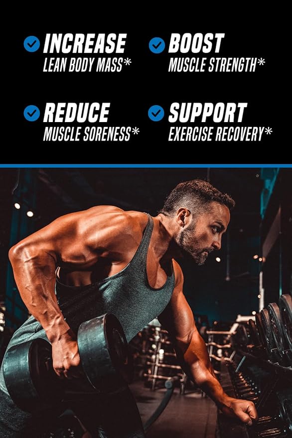 Outwork Nutrition Recovery Supplement, Post Workout Recovery Powder & Muscle Builder for Men and Women, Recharge Muscles After Gym, Backed by Science, Berry Splash, 240 Gr