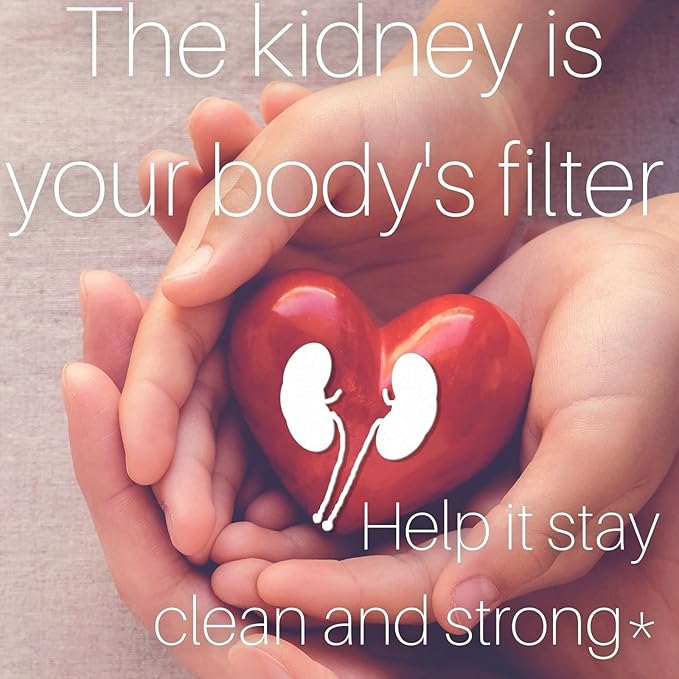 SpeedyVite Kidney Bladder LifeBoost Tea Herbal Supplement - USDA Organic Cleanses & supports urinary tract health - Marshmallow root Dandelion Goldenrod Juniper Hydrangea +more Natural Detox