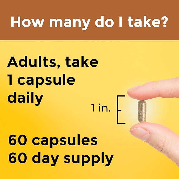 Nature Made Multi + Ashwagandha, Multivitamin for Daily Stress Relief Support, One Per Day Multivitamin, 60 Capsules