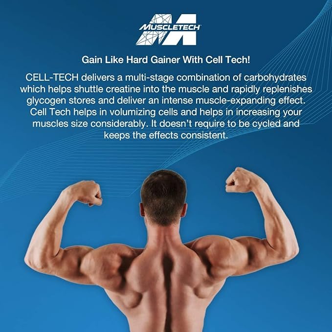 Creatine Monohydrate Powder | MuscleTech Cell-Tech Creatine Powder | Post Workout Recovery Drink | Muscle Builder for Men & Women | Musclebuilding Creatine Supplements | Fruit Punch, 6 lbs (56 Serv)
