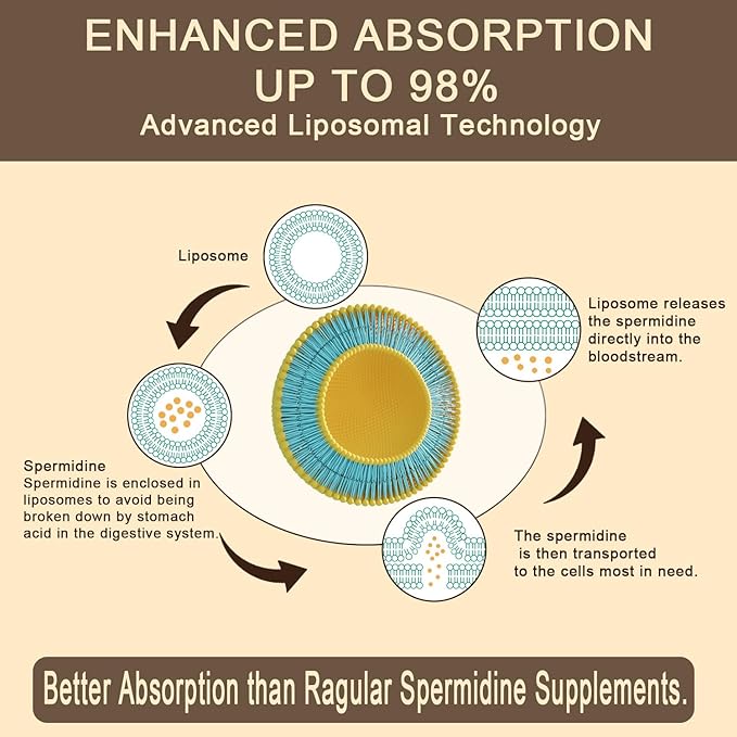 Spermidine Supplement 15 MG - 99% Purity, High Absorption, 1500 mg Fermented Wheat Germ Extract with Zinc & Thiamin, Spermidine for Men & Women - Cellular Renewal, Aging Defense, Energy, 360 Softgels