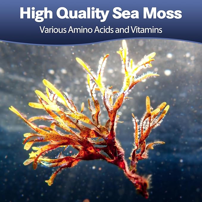 25-in-1 Sea Moss Capsules, 120 Capsules per Bottle, 2 Bottles
