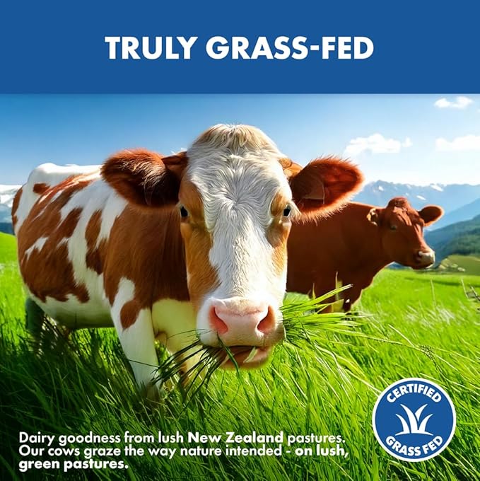 Opportuniteas Grass Fed Whey Protein Powder Concentrate - Chocolate - Pure Protein Supplement - Non GMO, Hormone Free & Gluten Free - 1lb