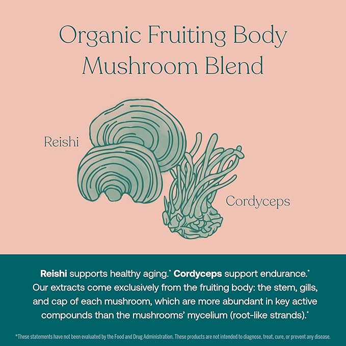 True Grace One Daily Women’s Multivitamin Fermented Minerals, Organic Adaptogens & Mushrooms Whole Body Balance, Immune, Energy, Beauty Support - Non-GMO, Gluten Free, Soy Free - 30 Vegan Tablets