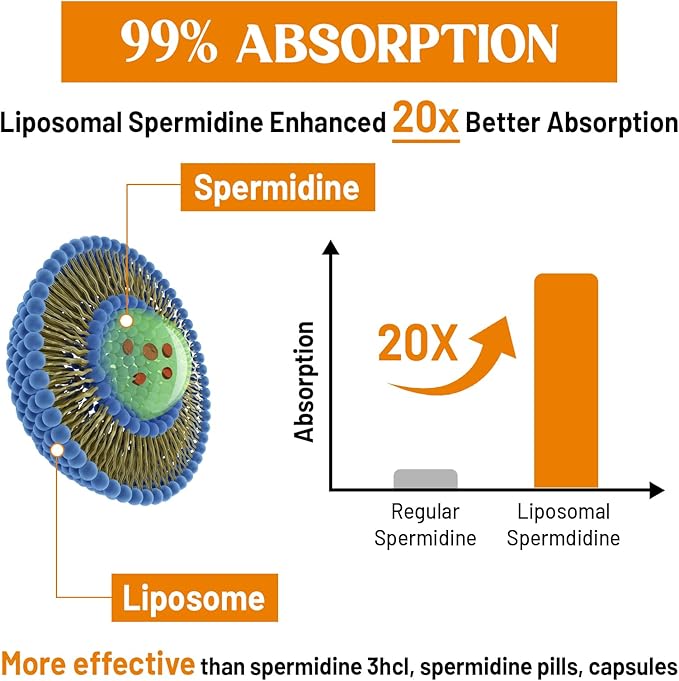 30mg Spermidine Supplement, Liposomal Spermidine, High Absorption, More Potent Than Spermidine 3HCL, Fermented Wheat Germ Extract, Spermidine for Women & Men, Cellular Renewal, Longevity, 60 Softgels