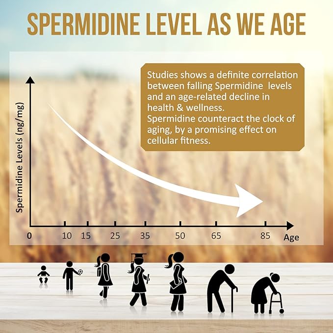 Spermidine Supplements 13mg - 1300mg Wheat Germ Extract Capsules Potent Formula with Higher Spermidine Content and Zinc for Healthy Aging, Daily Immune System and Cell Renewal (3 Pack)