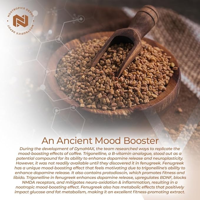 Nootropics Depot Fenugreek Extract Capsules | 500mg | 180 ct | 3% Trigonelline, 1% Protodioscin | Trigonella foenum-graecum | Mood, Fitness, & Metabolic Function