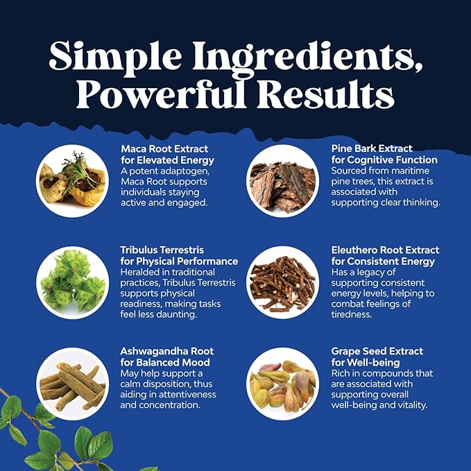 Potent Black Maca Root Capsules for Men - Herbal Wellness Supplement with Siberian Ginseng Ashwagandha and Black Maca Root - Men’s Wellness Supplement to Support General Health (60 Servings)