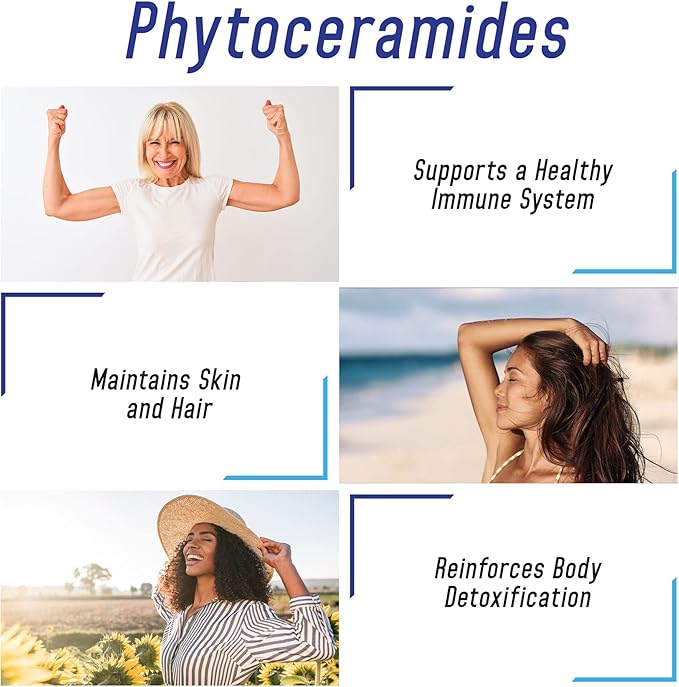 We Like Vitamins Phytoceramides 700mg - 200 Capsules All Natural Wheat Free and Plant Based - Phytoceramide Supplement - 700 mg per Serving - Skin Hydration, Repair, Rejuvination