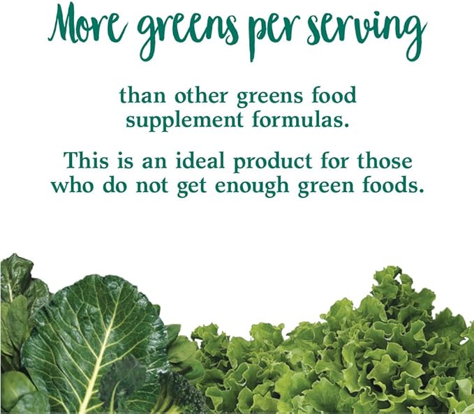 Garden Of Life Whole Food Vegetable Supplement - Perfect Food Green Superfood Dietary Powder, 600g