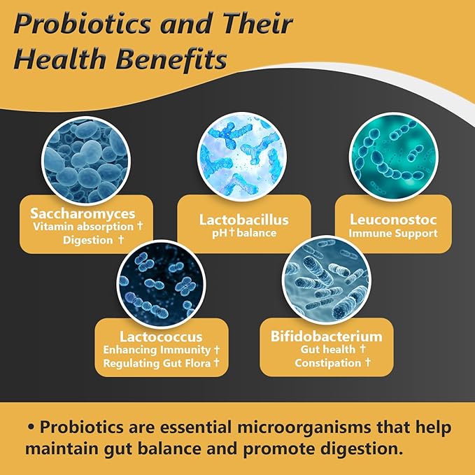 Probiotics with Prebiotics for Men and Women - 35 Strains Organic Probiotic 100 Billion CFU for Gut & Digestive Health, Vegan Acidophilus Probiotic Supplement, Non-GMO Raw Probiotic 120 Capsules