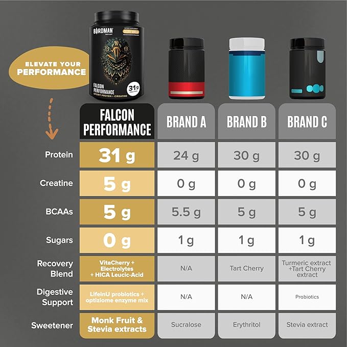 BIRDMAN Falcon Performance Vegan Protein Powder, 31g Protein, 5g Creatine, 5g BCAA, Probiotics, Electrolytes, Pre Workout, Low Carb, Sugar Free & Dairy Free, Plant Based Vanilla Protein -19 Servings