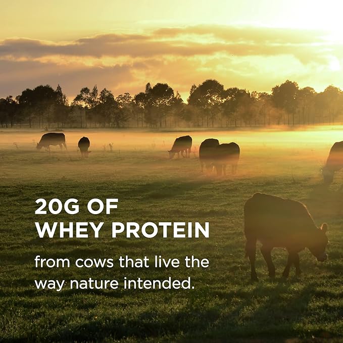 Solgar Grass Fed Whey to Go Protein Powder Vanilla, 2 lb - 20g of Grass-Fed Protein from New Zealand cows - Great Tasting & Mixes Easily - Supports Strength & Recovery -, 36 servings