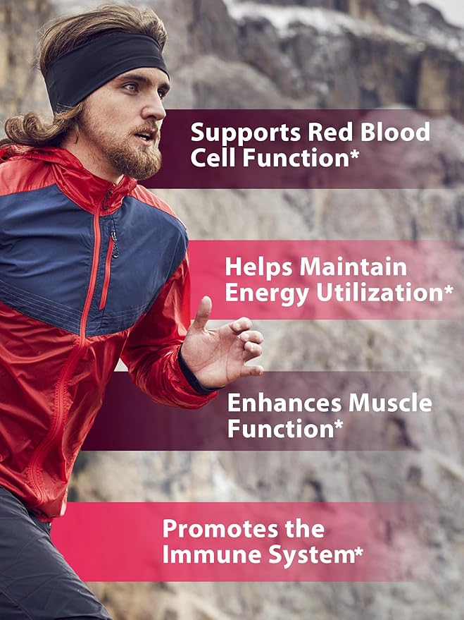Iron Supplement for Women Men, High Potency Iron 65mg with Vitamin C 250mg, Slow Release Stomach Friendly Iron Pills for Red Blood Cell & Immune Support, Non-GMO, Gluten Free, 60 Vegan Tabs