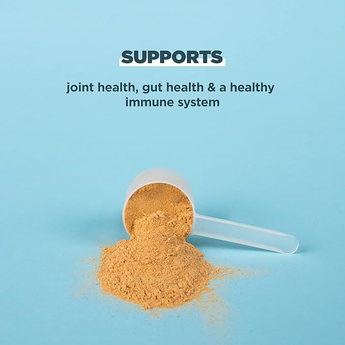 Ancient Nutrition Protein Powder Made from Real Bone Broth, Chocolate, 20g Protein Per Serving, 40 Serving Tub, Gluten Free Hydrolyzed Collagen Peptides Supplement