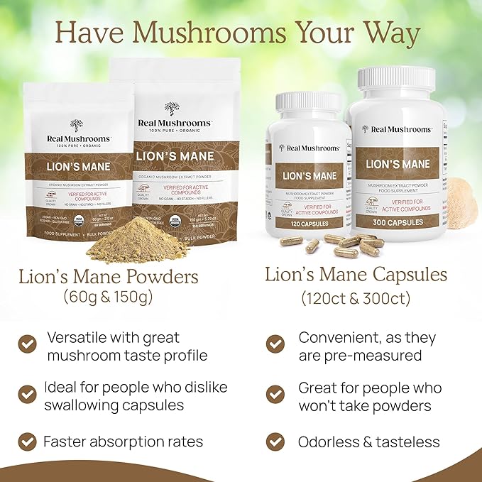 Lions Mane Mushroom Cognition Capsules (120 Capsules) Lions Mane Mushroom Powder Extract Capsules | Brain Supplement, Brain Vitamins, Focus Supplement