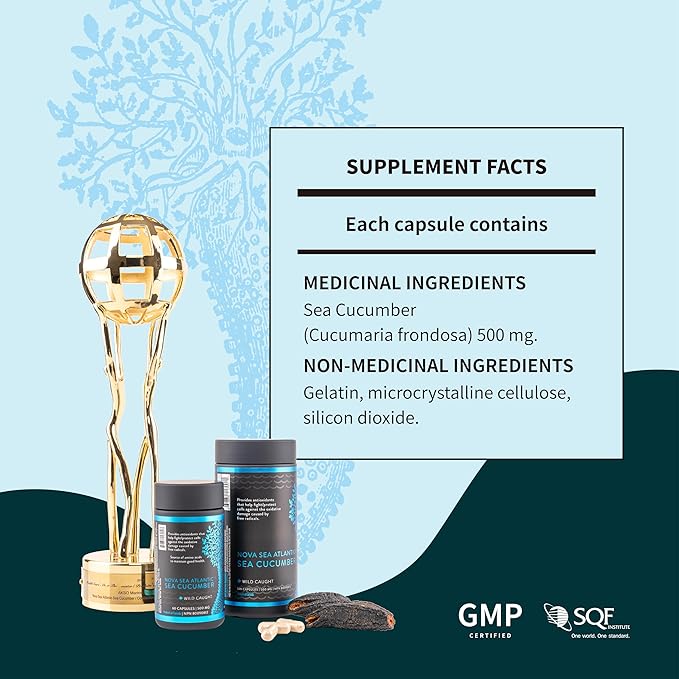 Wild Sea Cucumber Supplement Capsules Antioxidant Healthy Energy Supplement with Fucosylated Chondroitin Sulfate Collagen Glycosides Vitamins Minerals(Pack of 3)